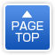 PAGE TOP